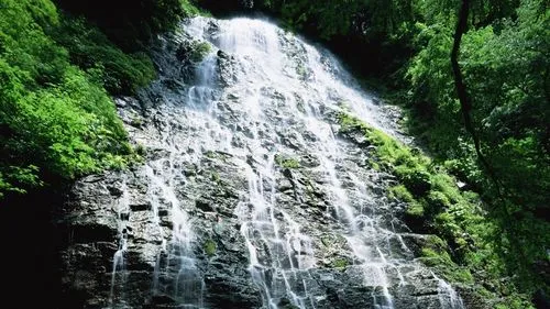 电子节能高端